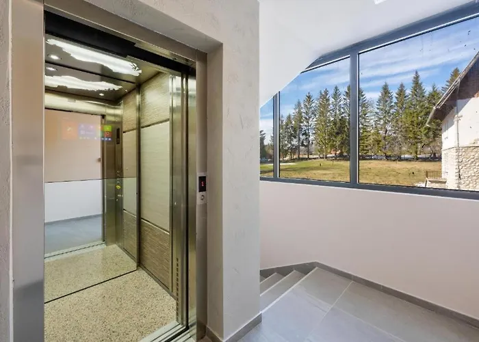 Appartement Lux Titova Sony Ps Zlatibor